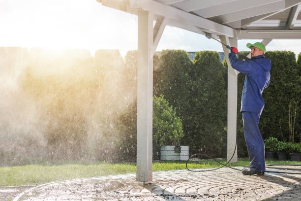 Reliable Del Norte, CO Pressure Washing Services Solutions