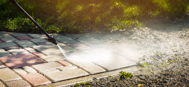 Best Animal Enclosure Cleaning  in Del Norte, CO
